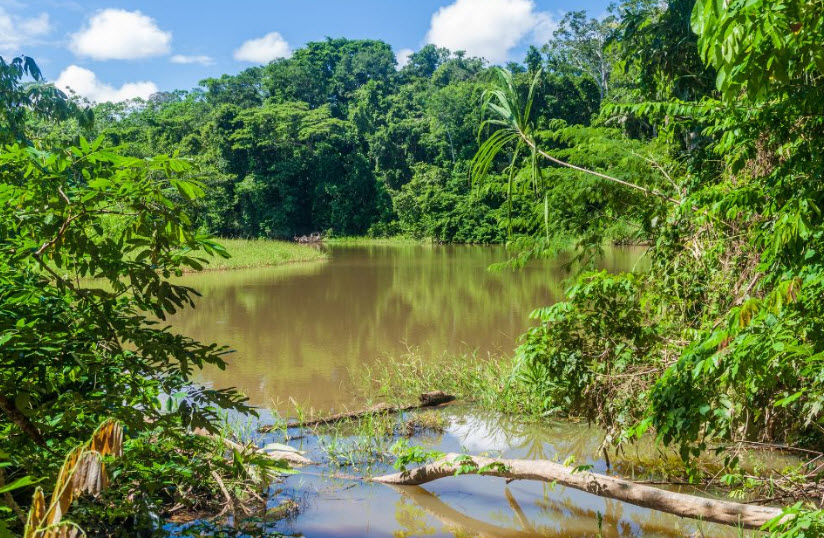 Madidi National Park